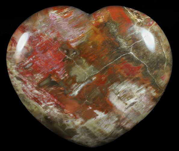 Colorful, Polished Petrified Wood Heart - Triassic #58543